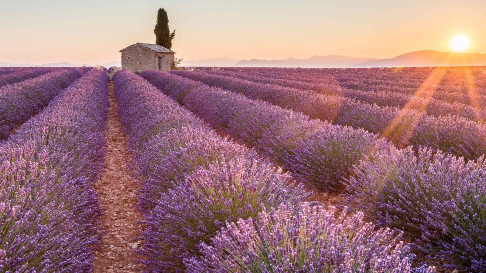 Déménagement en Provence